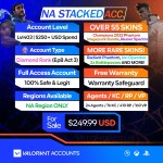 Valorant Account With Skins NAS_1000-150