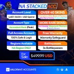Valorant Account With Skins NAS_499.99