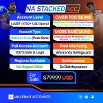 Valorant Account With Skins NAS_799.99