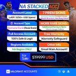 Valorant Account With Skins NA_199.99